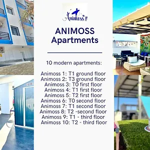 Animoss! - 10 Modern Near Center & Santa Maria